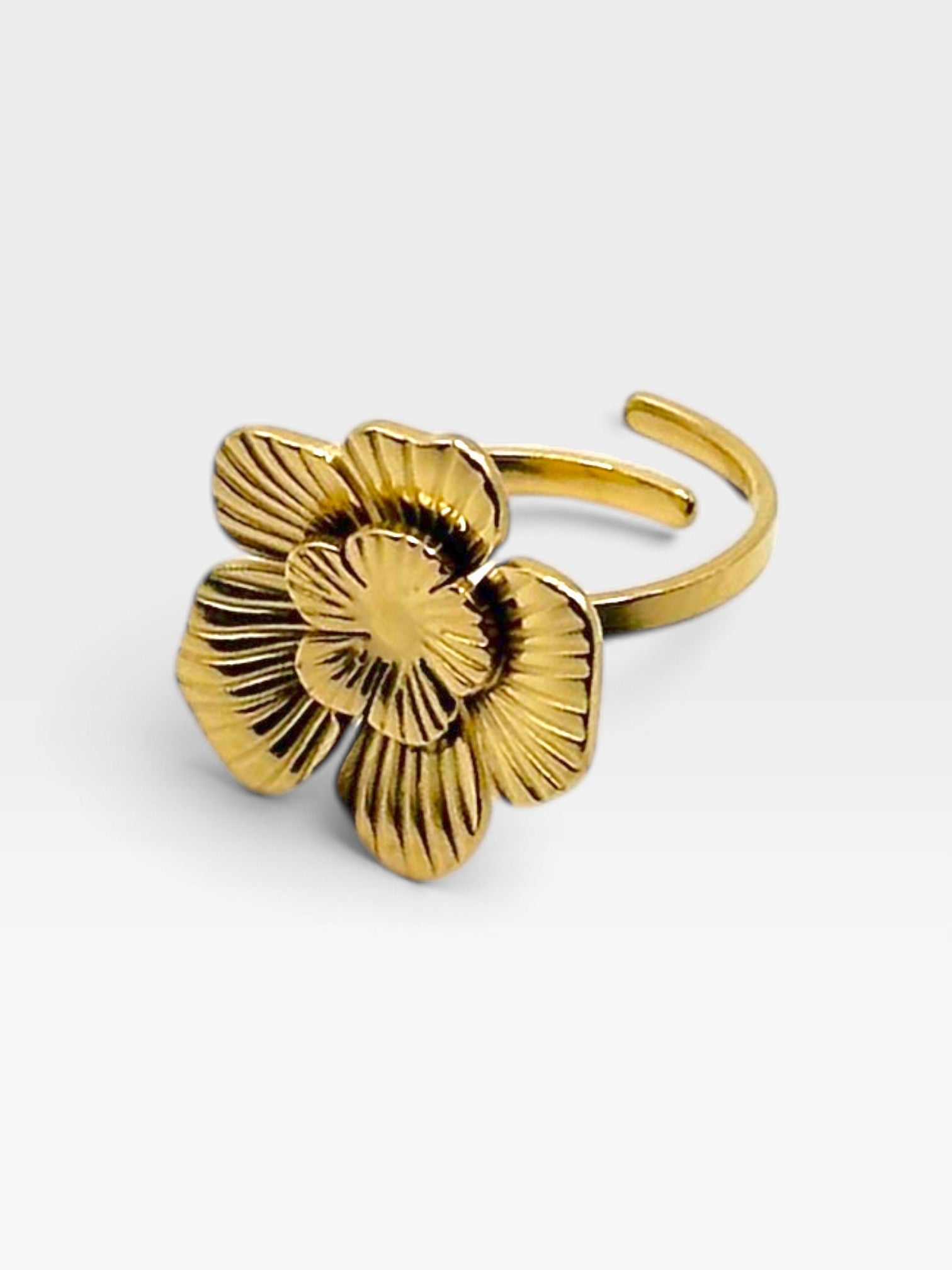 Anillos