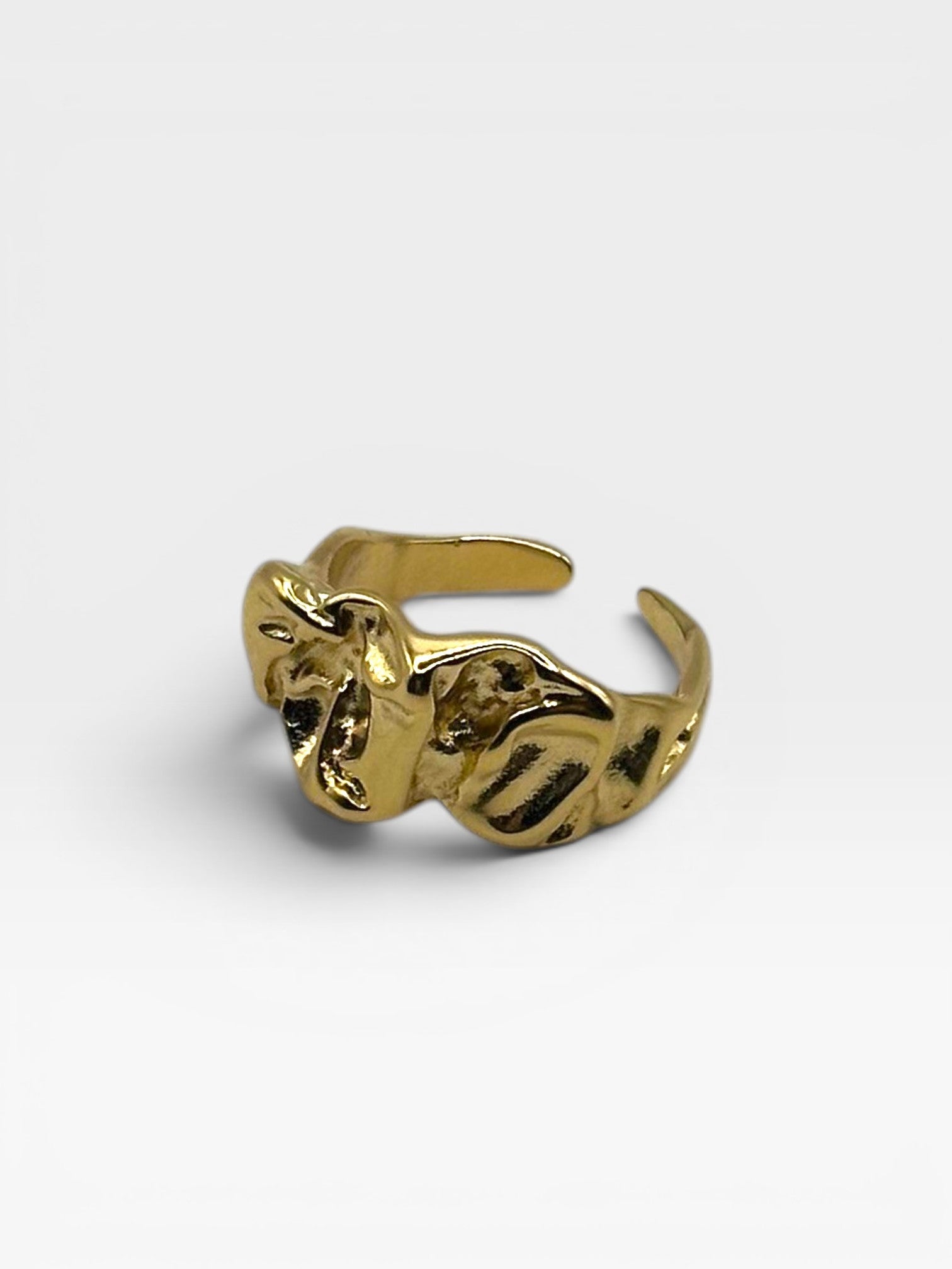 Anillo Rugoso