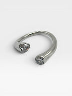 Anillo Doble Corazón