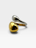 Anillo Dual