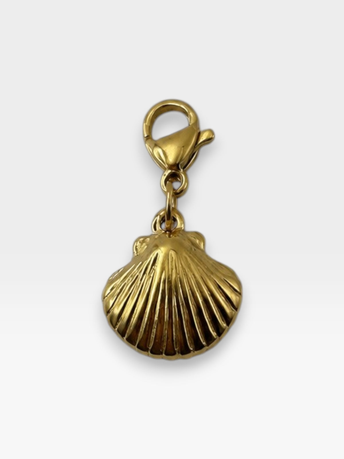 Charm Concha