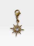 Charm Cosmos
