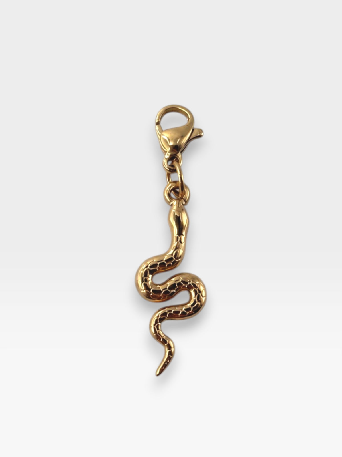 Charm Serpiente