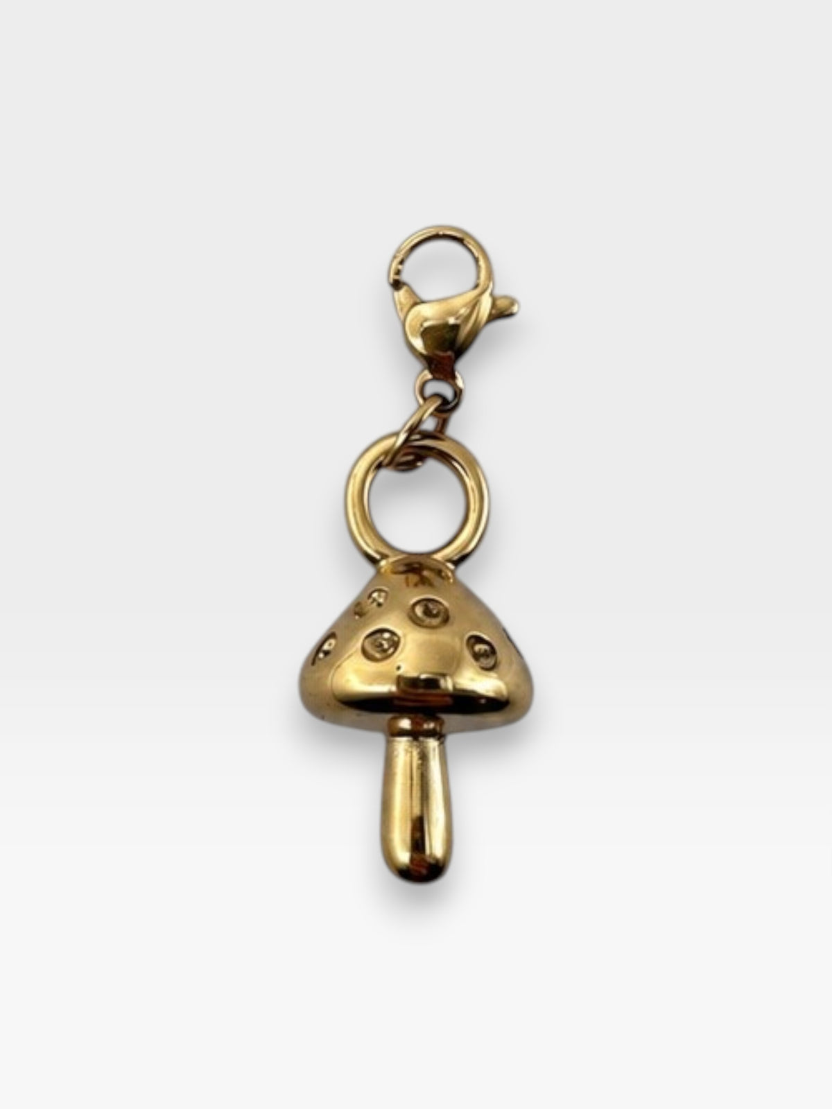 Charm Seta